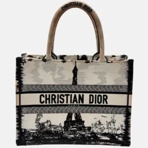 Book Tote Medium Paris Embroidered Canvas