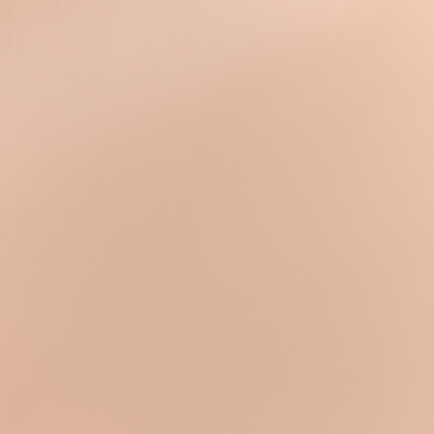 Fendi Vitello Liberty Scalloped Studded Flowers and Bows Small Kan I Shoulder Bag - Image 14