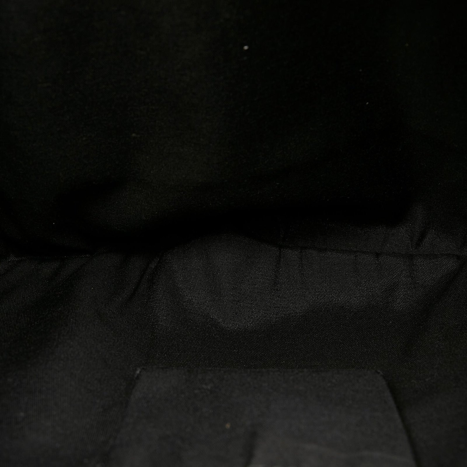 Gucci GG Canvas Princy Hobo Bag - Image 6