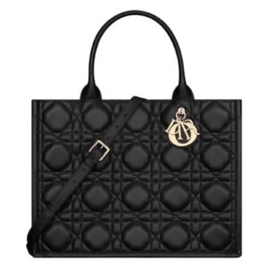 Medium Dior Book Tote
