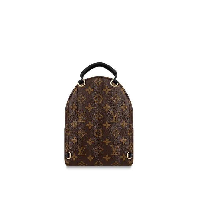 Louis Vuitton Palm Springs Mini - Image 2